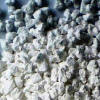 Calcium Chloride Anhydrous